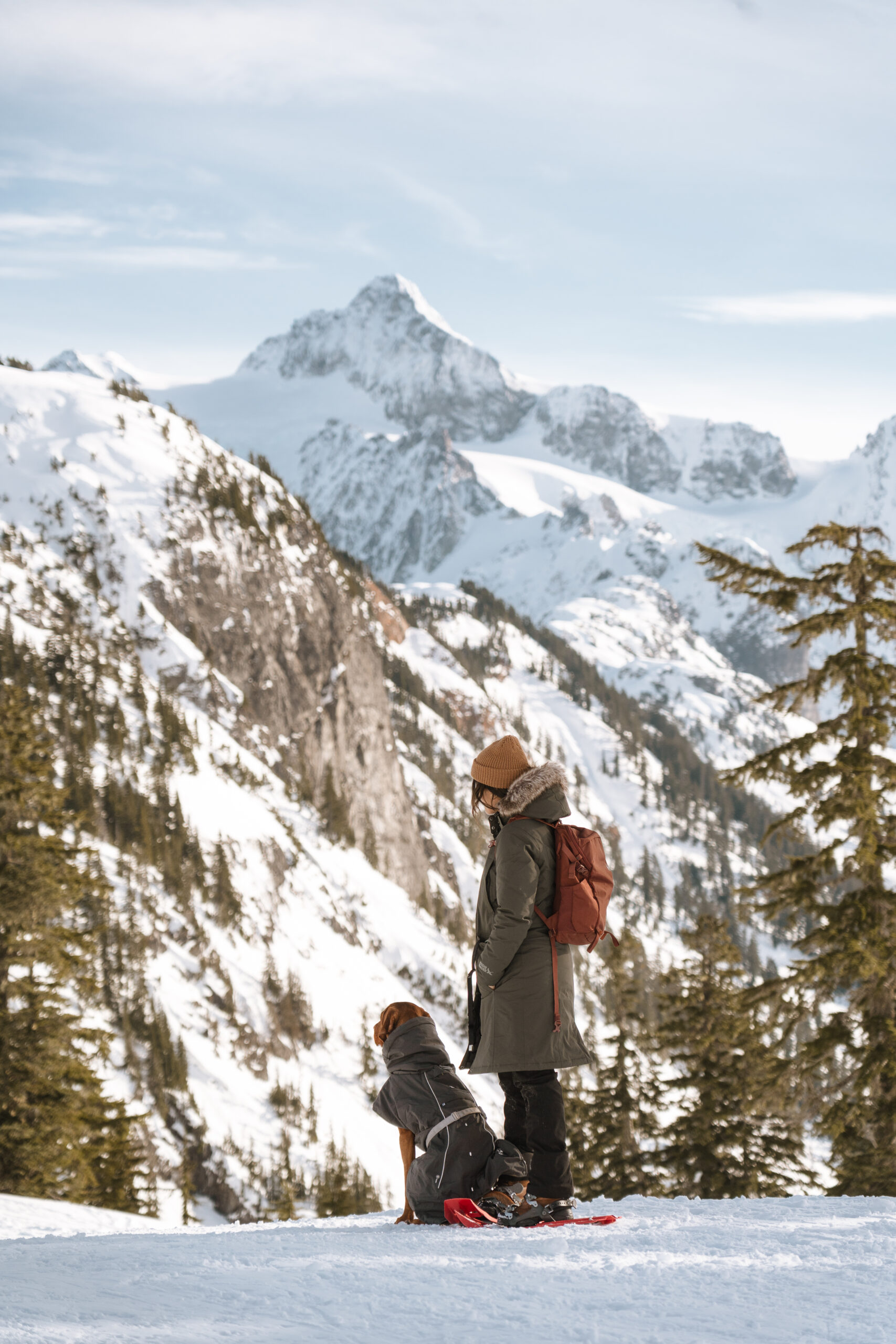 Artist Point