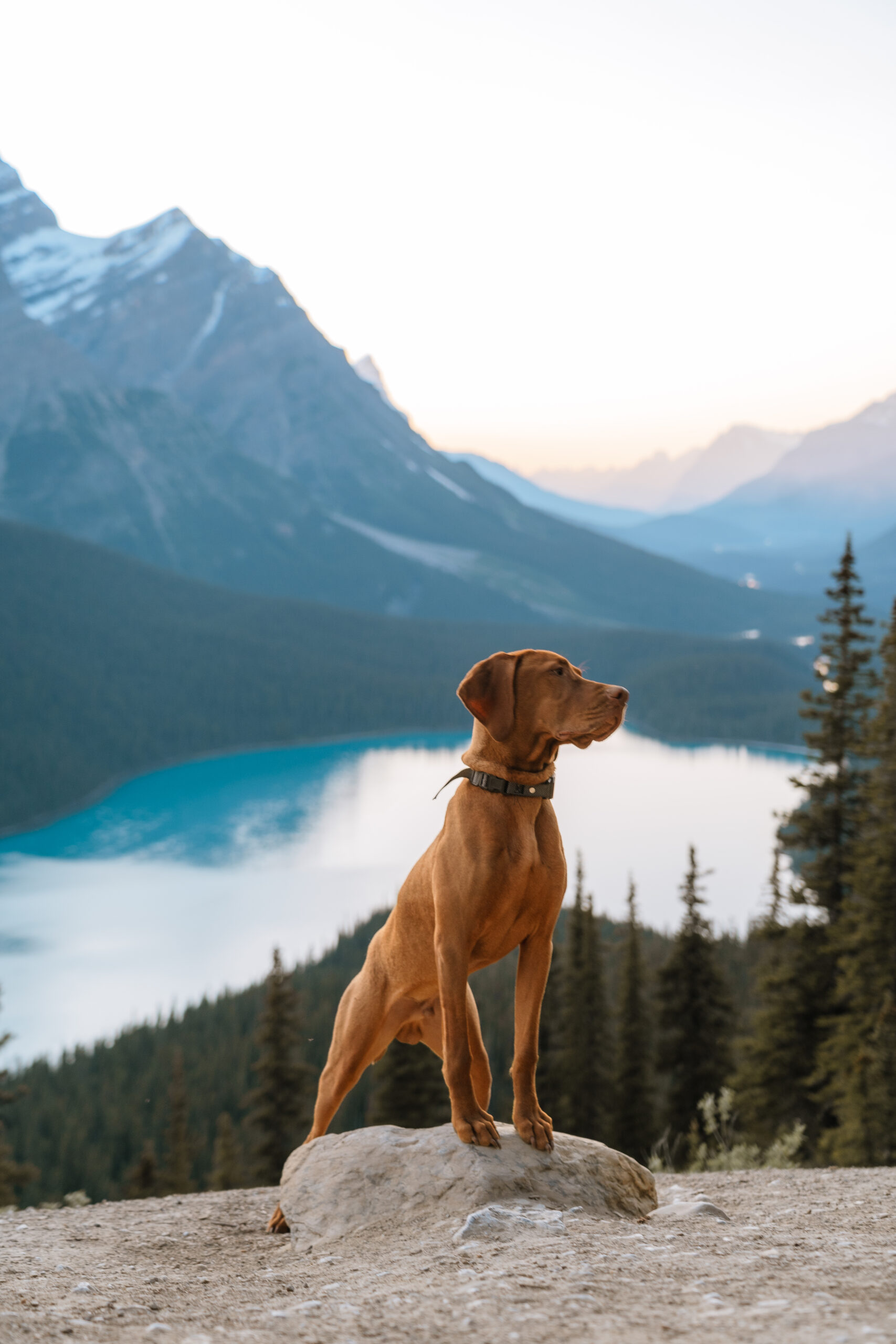 Banff